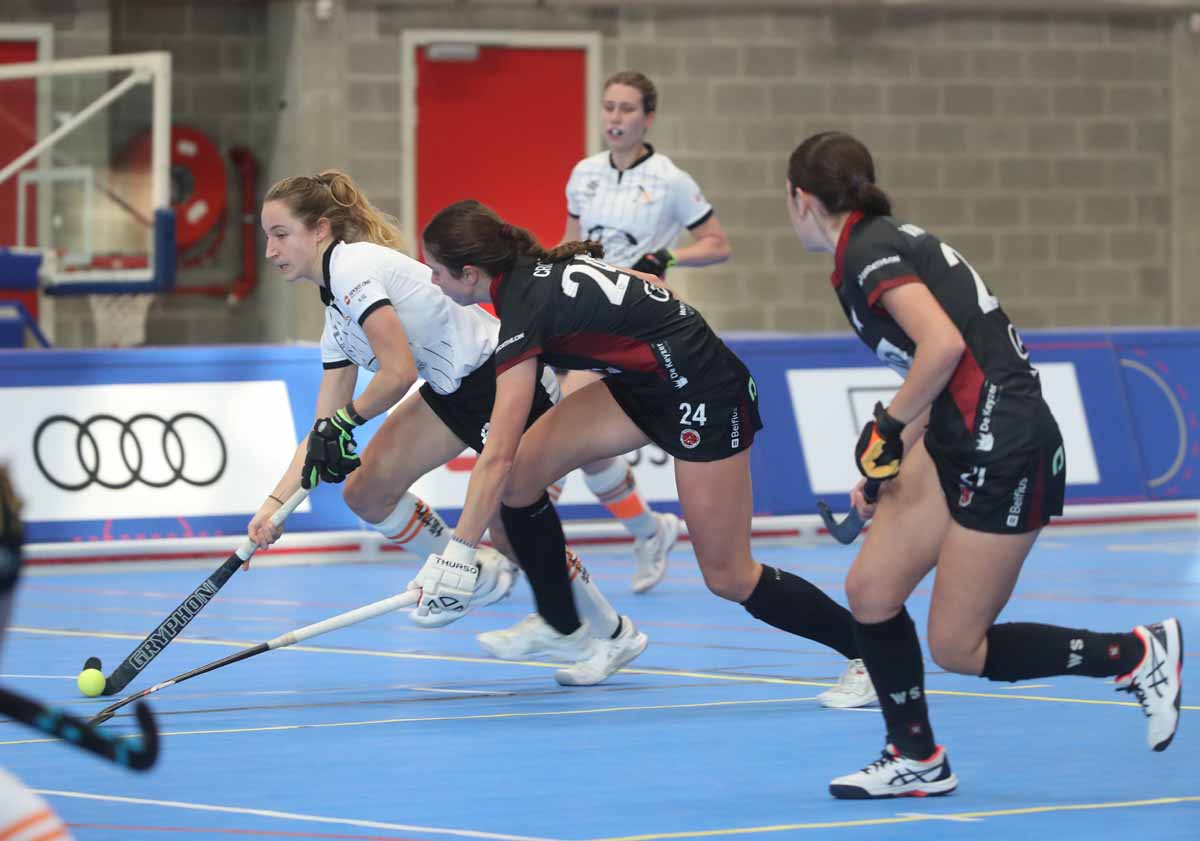 dhdamespingwstarI2369